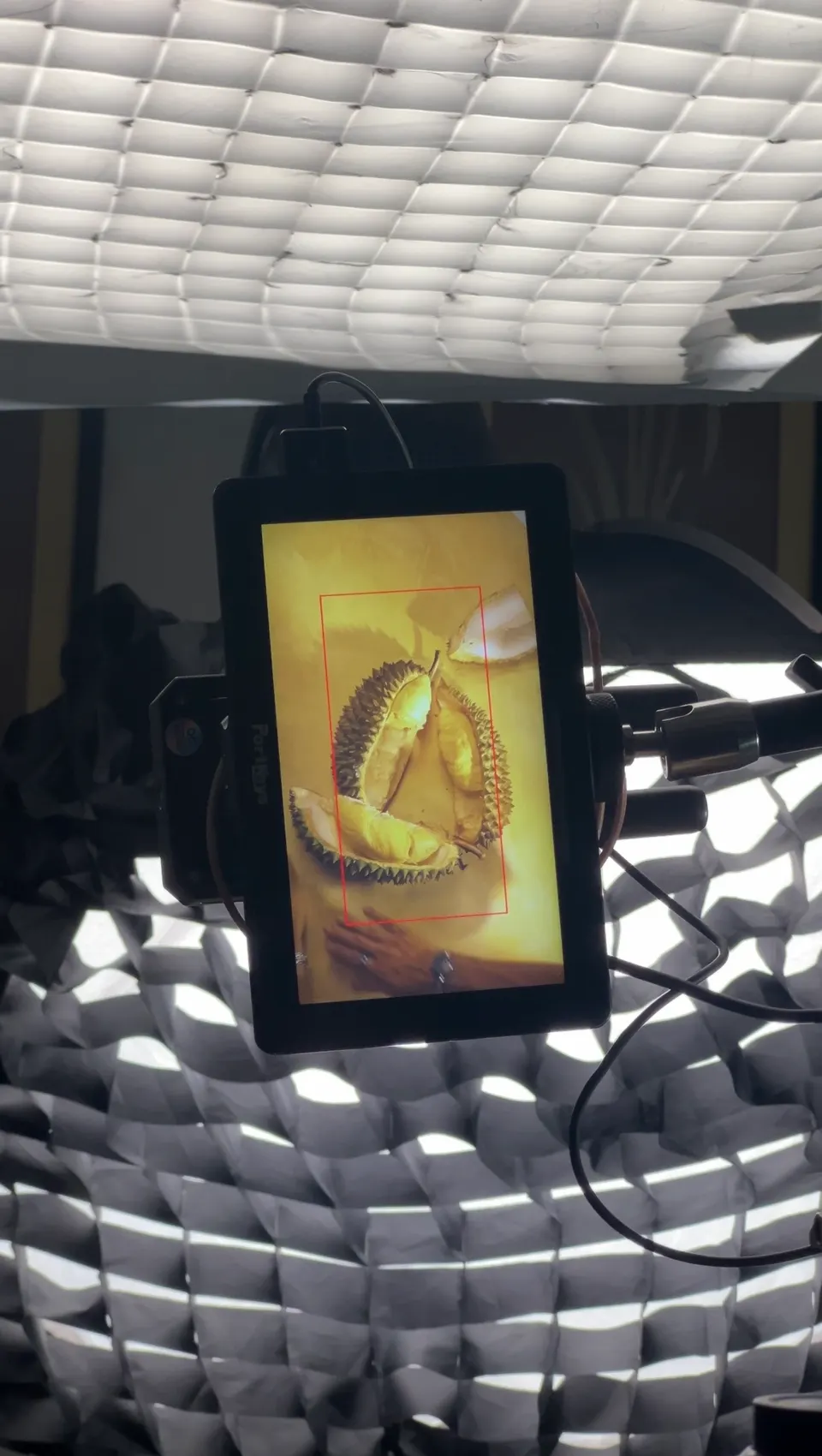 A tablet on a stand beneath a honeycomb softbox, showing a golden picture.