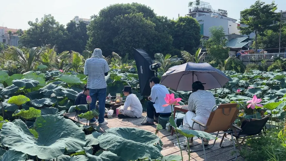 The photoshoot team working on a lotus pond, with a camera, a reflector and an umbrella.